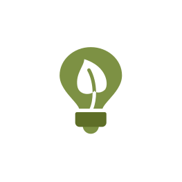 digi ruchi content marketing services provider